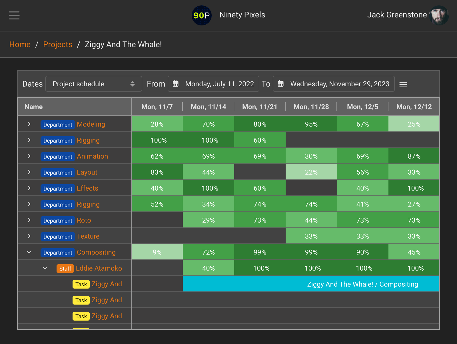 Projectal Staff Usage